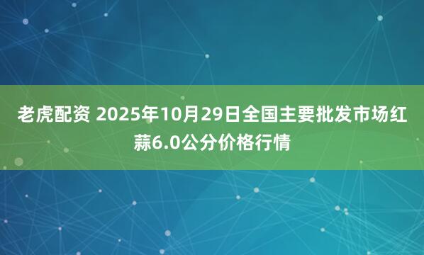 老虎配资 2025年10月29日全国主要批发市场红蒜6.0公分价格行情
