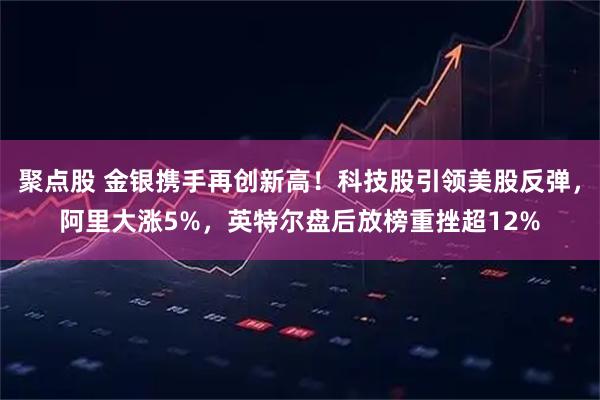 聚点股 金银携手再创新高！科技股引领美股反弹，阿里大涨5%，英特尔盘后放榜重挫超12%