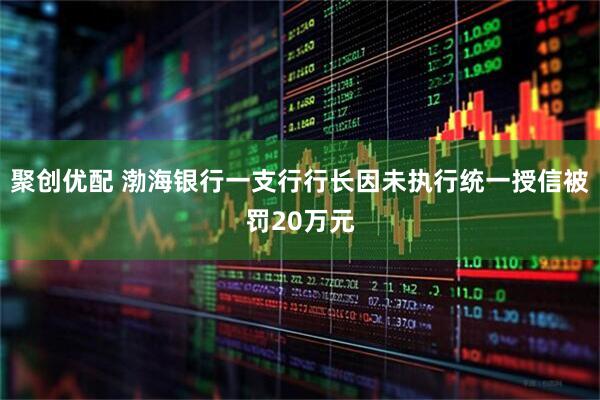 聚创优配 渤海银行一支行行长因未执行统一授信被罚20万元