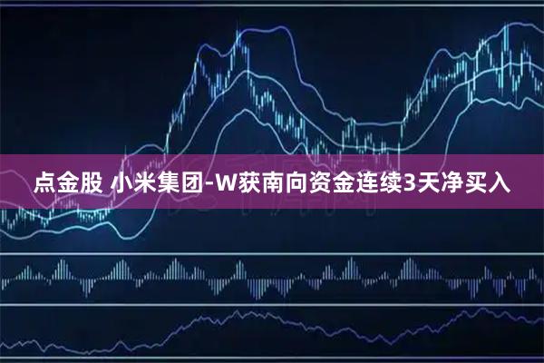 点金股 小米集团-W获南向资金连续3天净买入